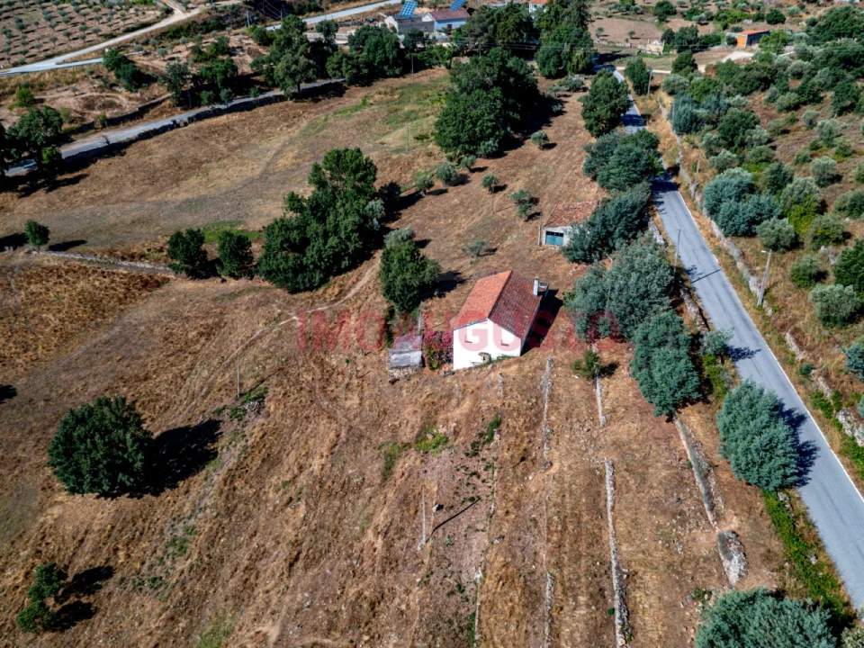 Moradia T3 para Venda em Pinhel Foto 3