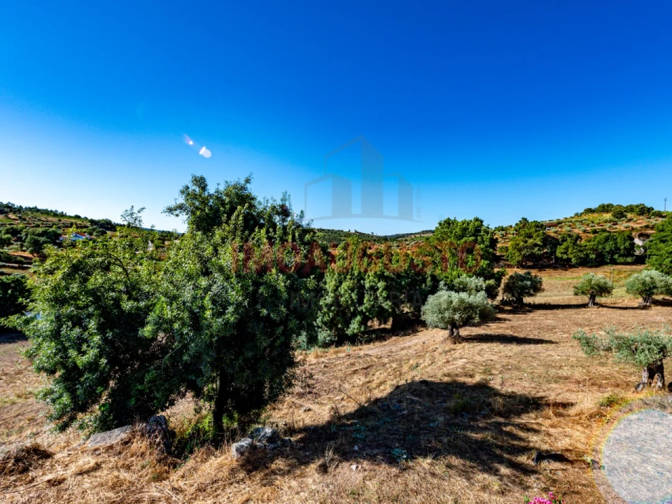 Moradia T3 para Venda em Pinhel Foto 22