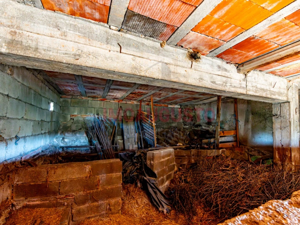 Moradia T3 para Venda em Pinhel Foto 24