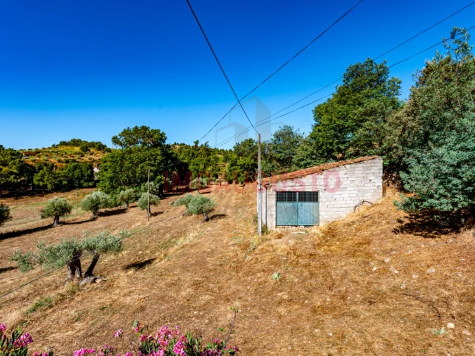 Moradia T3 para Venda em Pinhel Foto 19