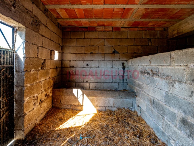 Moradia T3 para Venda em Pinhel Foto 26