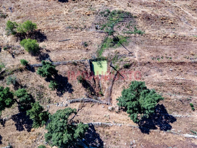 Moradia T3 para Venda em Pinhel Foto 27