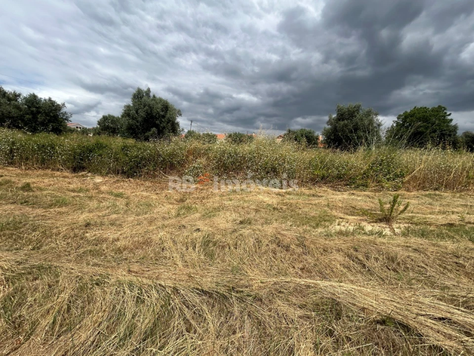 Terreno para Venda em São João Baptista e Santa Maria dos Olivais Foto 3