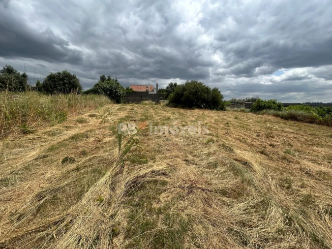Terreno para Venda em São João Baptista e Santa Maria dos Olivais Foto 2