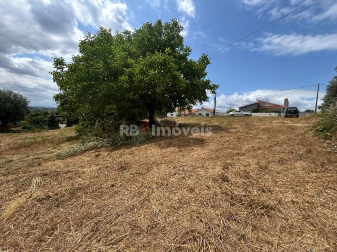 Terreno para Venda em São João Baptista e Santa Maria dos Olivais