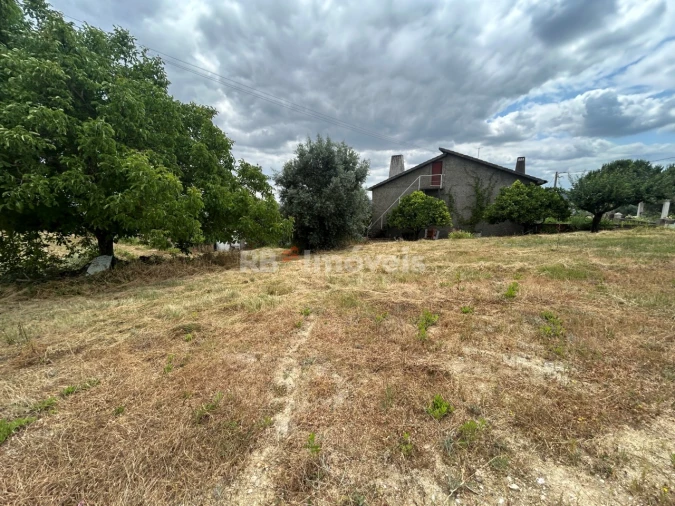 Terreno para Venda em São João Baptista e Santa Maria dos Olivais Foto 12