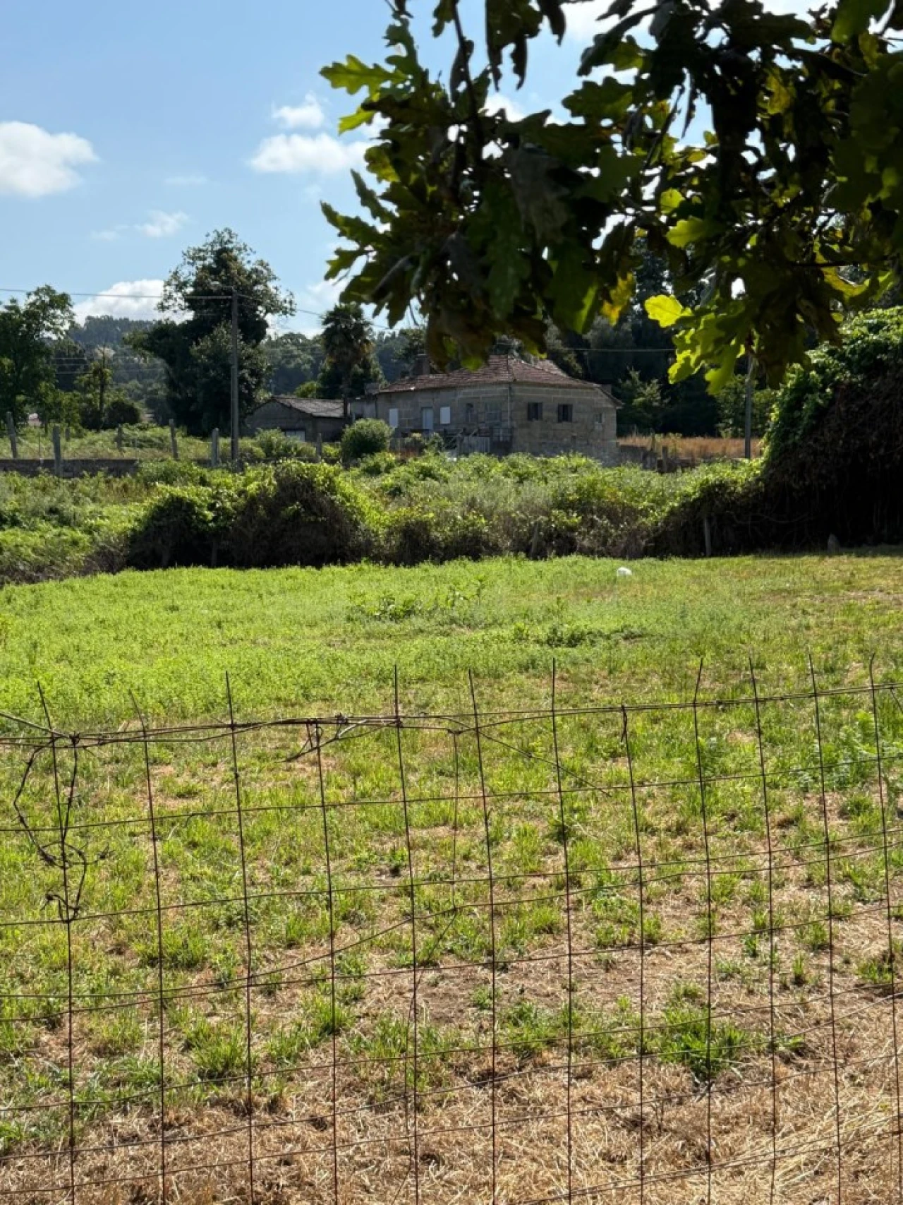 Terreno para Venda em Lemenhe, Mouquim e Jesufrei Foto 5