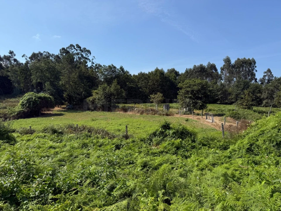 Terreno para Venda em Lemenhe, Mouquim e Jesufrei Foto 1