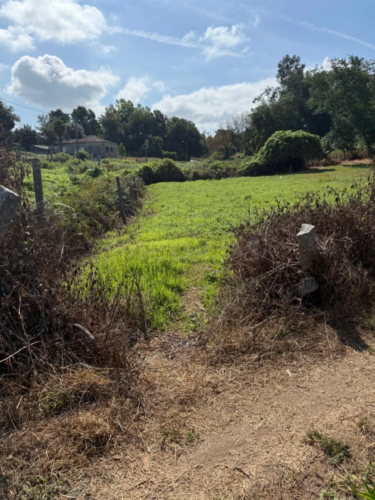 Terreno para Venda em Lemenhe, Mouquim e Jesufrei Foto 13