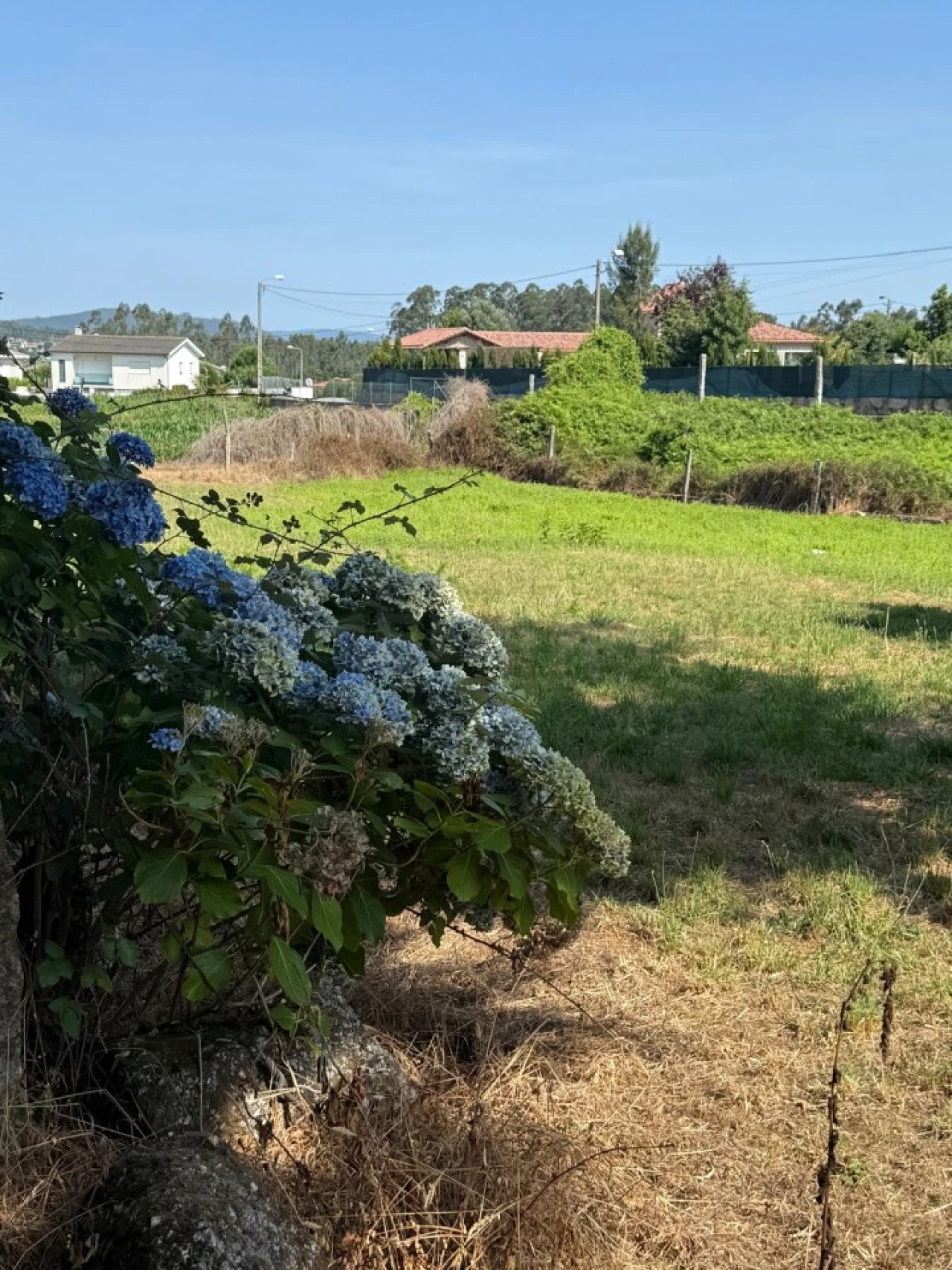 Terreno para Venda em Lemenhe, Mouquim e Jesufrei Foto 17