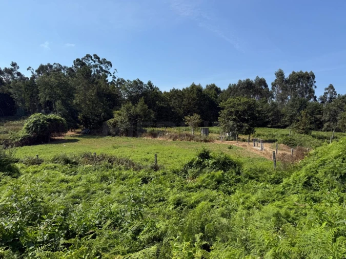 Terreno para Venda em Lemenhe, Mouquim e Jesufrei