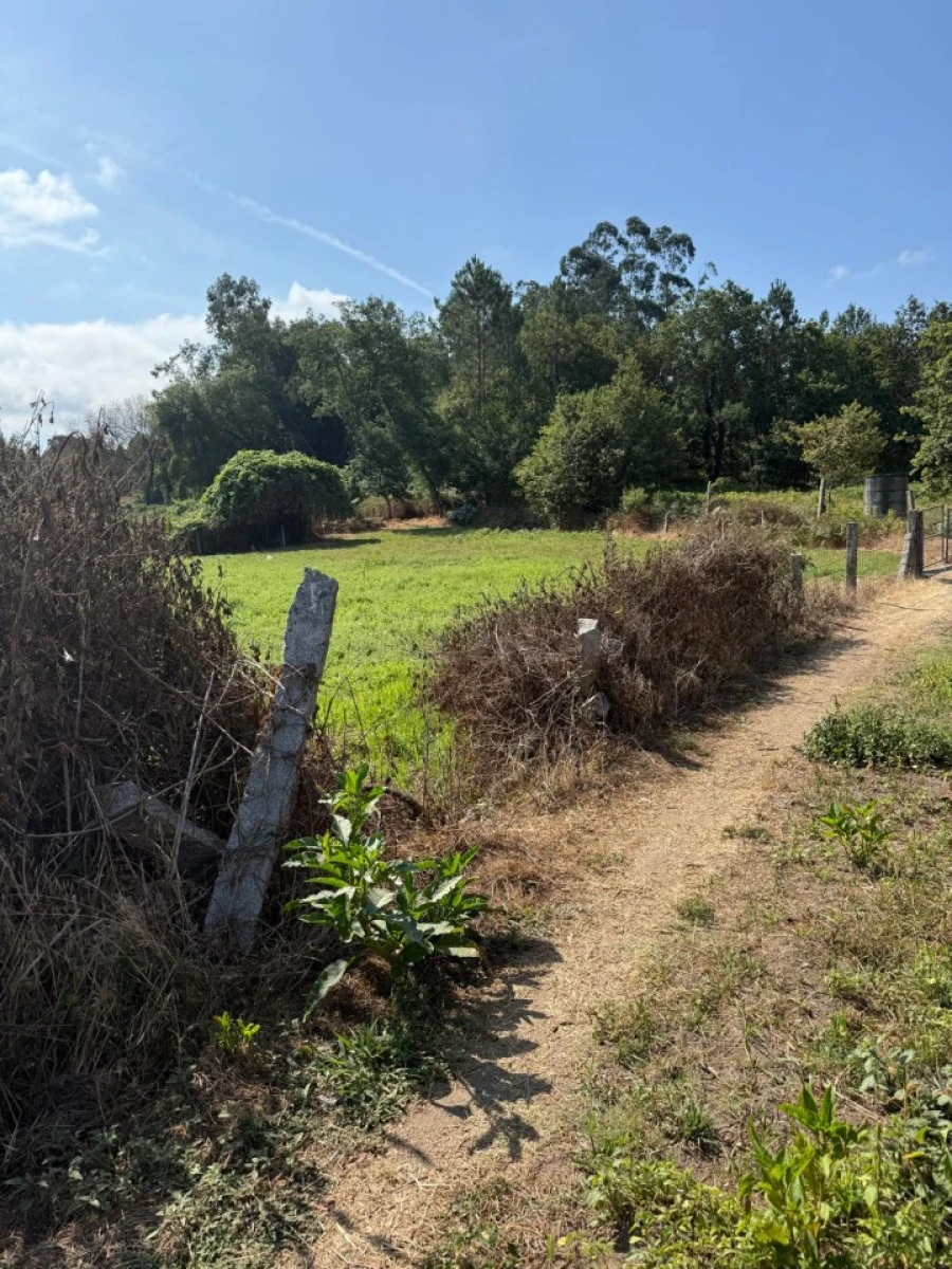 Terreno para Venda em Lemenhe, Mouquim e Jesufrei Foto 12