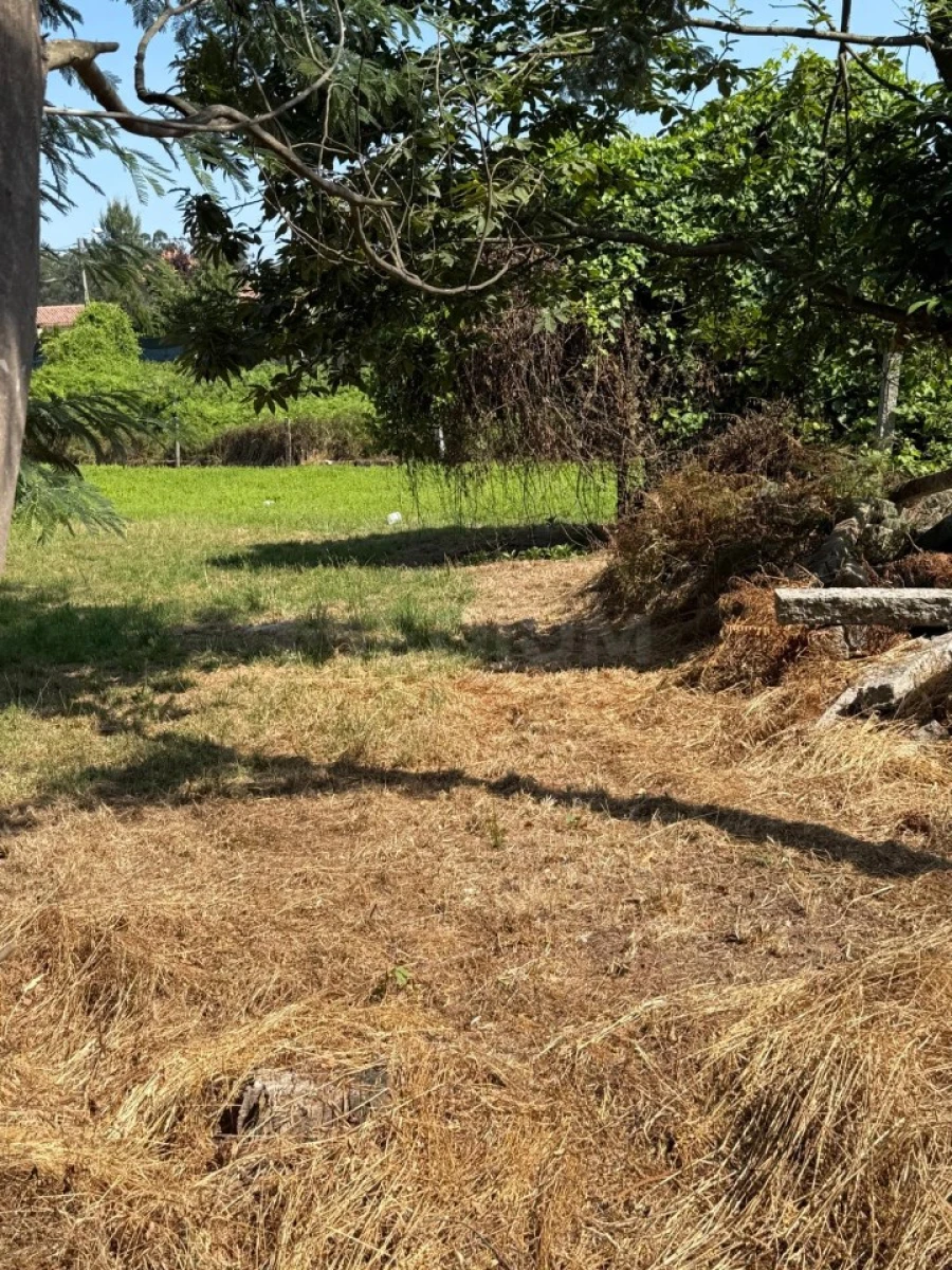 Terreno para Venda em Lemenhe, Mouquim e Jesufrei Foto 18