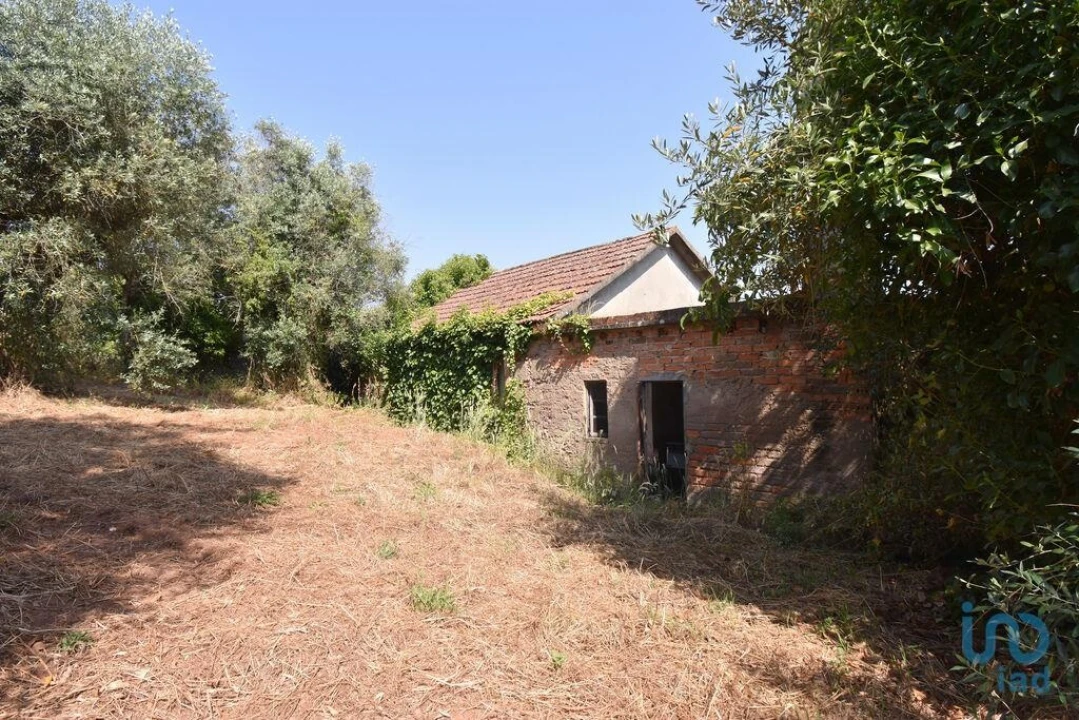 Moradia T3 para Venda em Podentes Foto 14