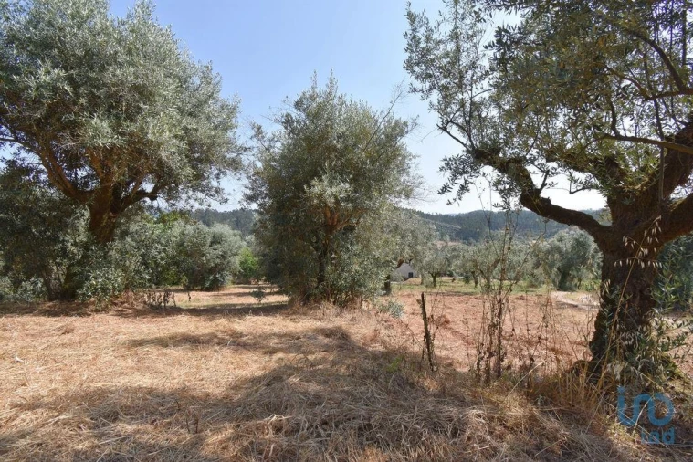 Moradia T3 para Venda em Podentes Foto 4