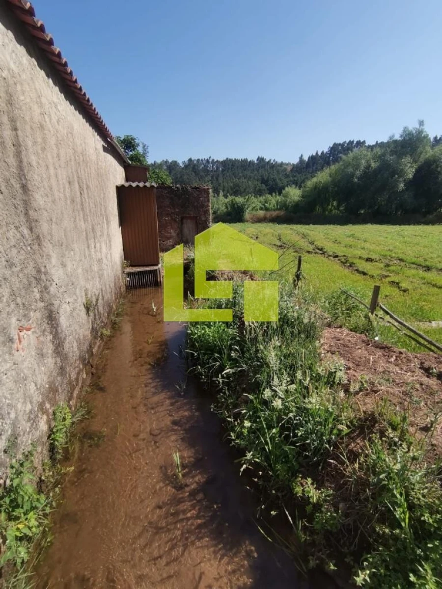 Moradia T3 para Venda em São Miguel, Santa Eufémia e Rabaçal Foto 17