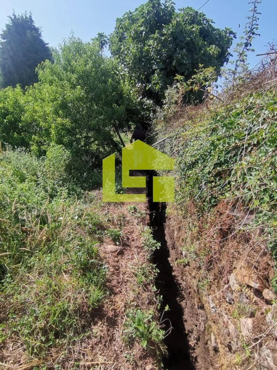 Moradia T3 para Venda em São Miguel, Santa Eufémia e Rabaçal Foto 36