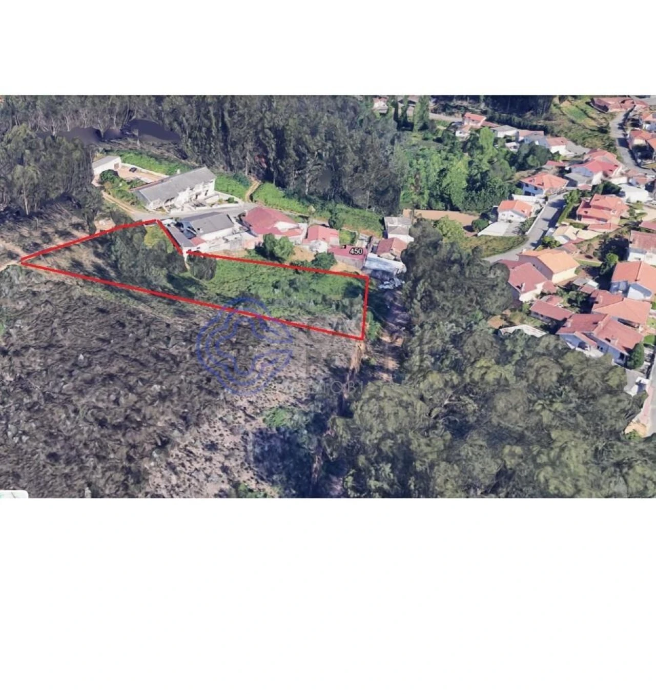 Terreno para Venda em Caldas de São Jorge e Pigeiros Foto 6