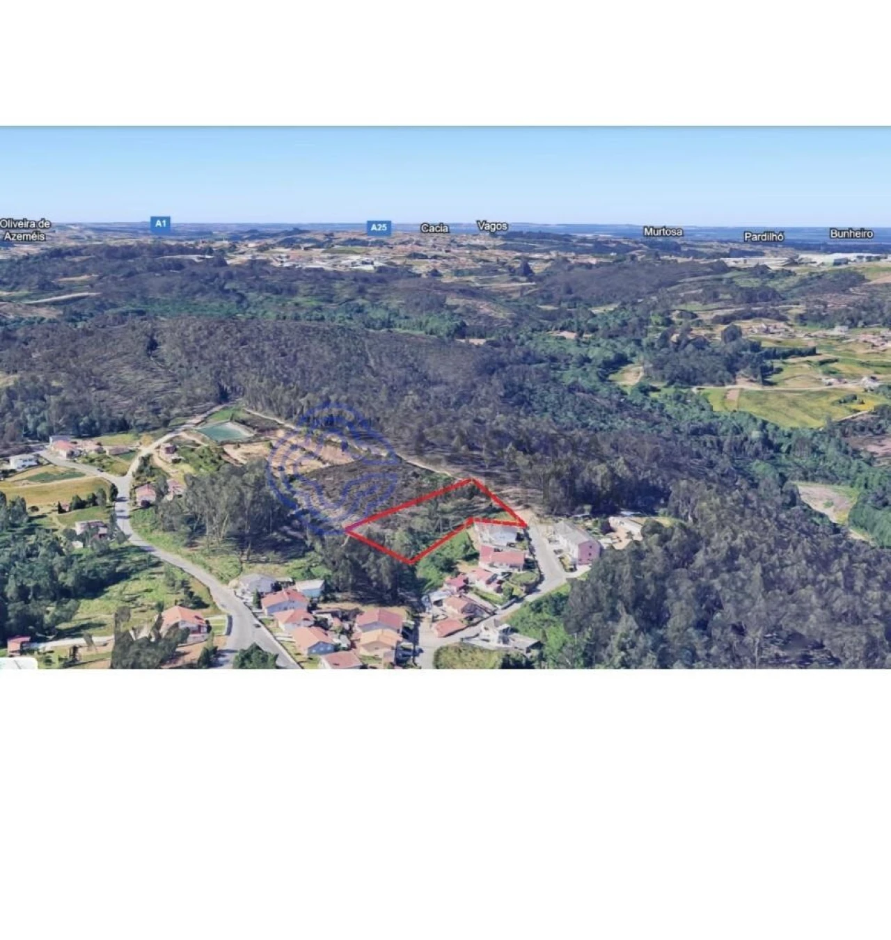 Terreno para Venda em Caldas de São Jorge e Pigeiros Foto 2