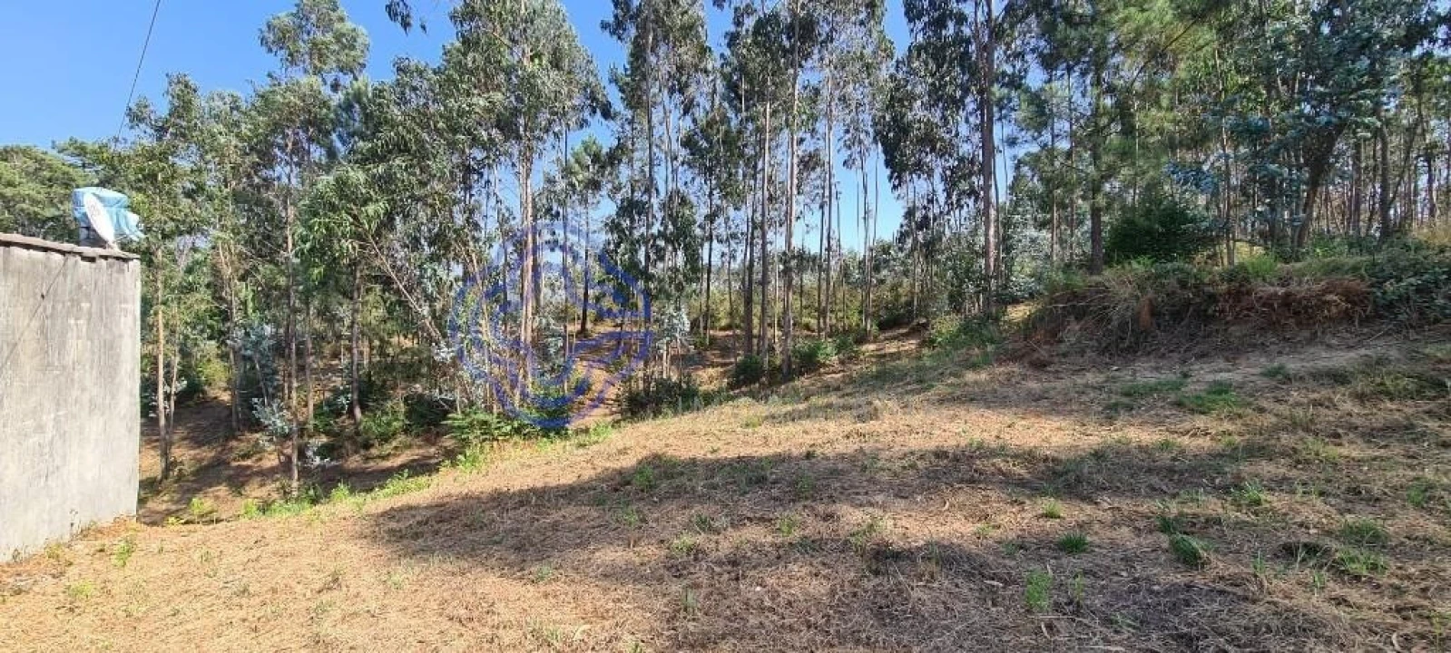 Terreno para Venda em Caldas de São Jorge e Pigeiros Foto 17