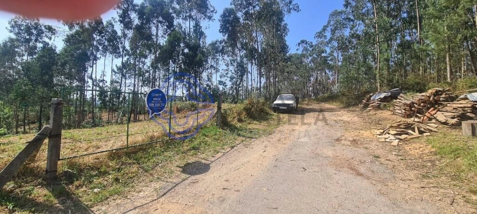 Terreno para Venda em Caldas de São Jorge e Pigeiros Foto 18