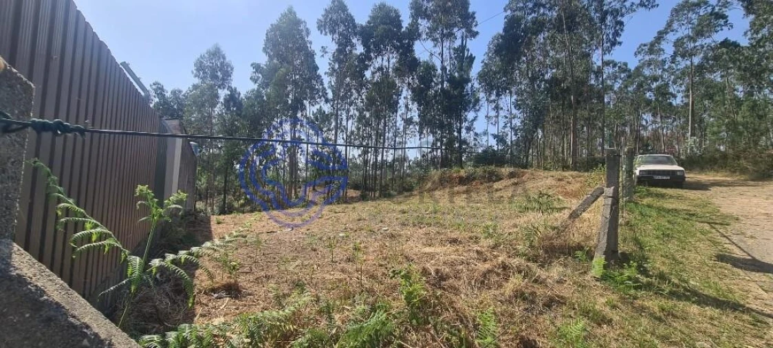 Terreno para Venda em Caldas de São Jorge e Pigeiros Foto 19
