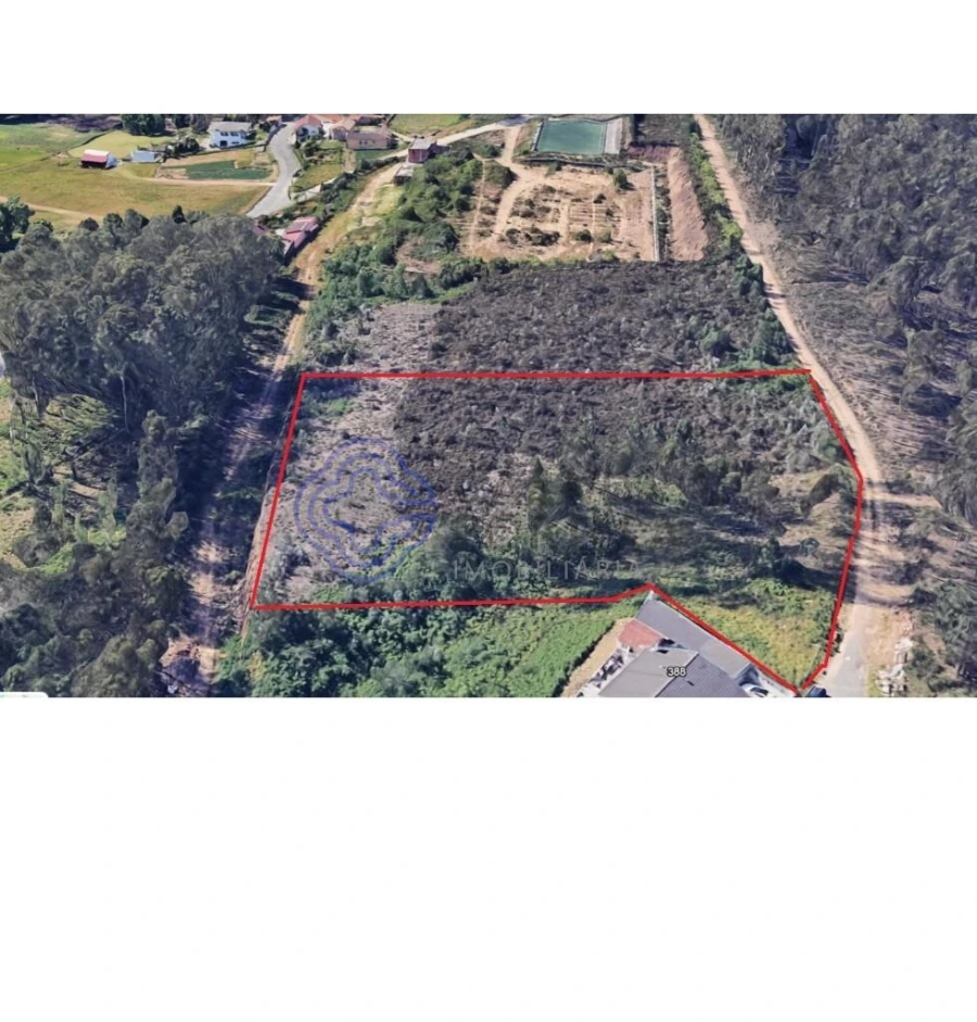 Terreno para Venda em Caldas de São Jorge e Pigeiros Foto 5