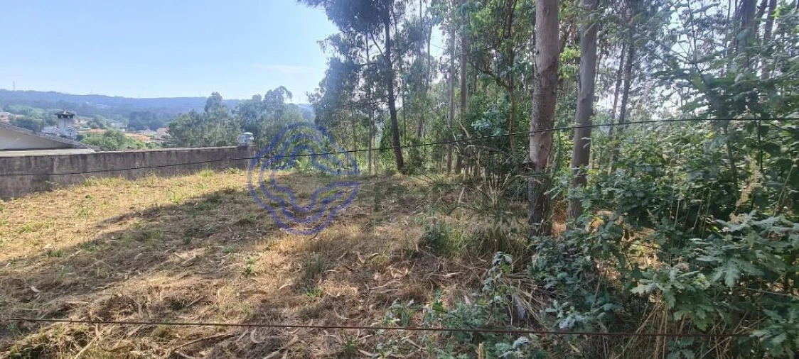 Terreno para Venda em Caldas de São Jorge e Pigeiros Foto 21
