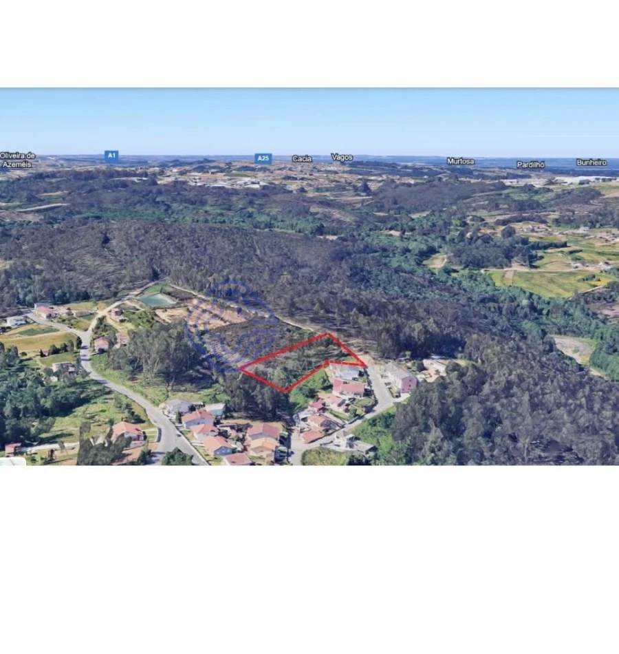 Terreno para Venda em Caldas de São Jorge e Pigeiros Foto 2