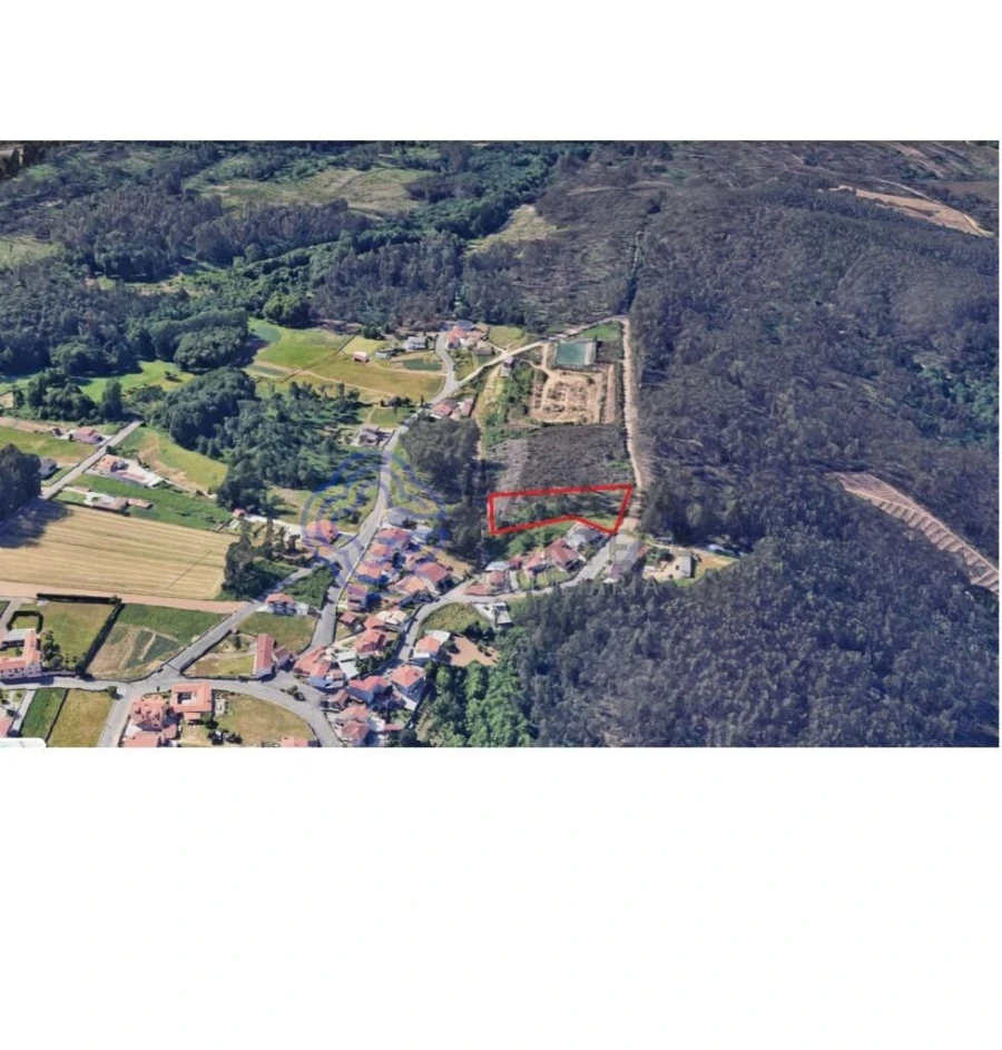 Terreno para Venda em Caldas de São Jorge e Pigeiros Foto 4