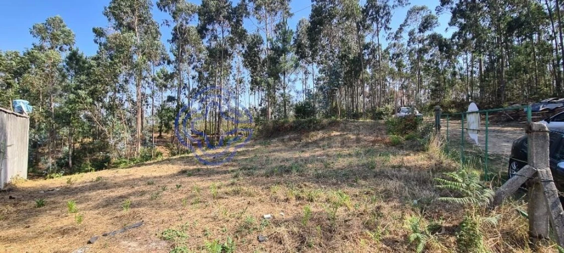 Terreno para Venda em Caldas de São Jorge e Pigeiros Foto 14