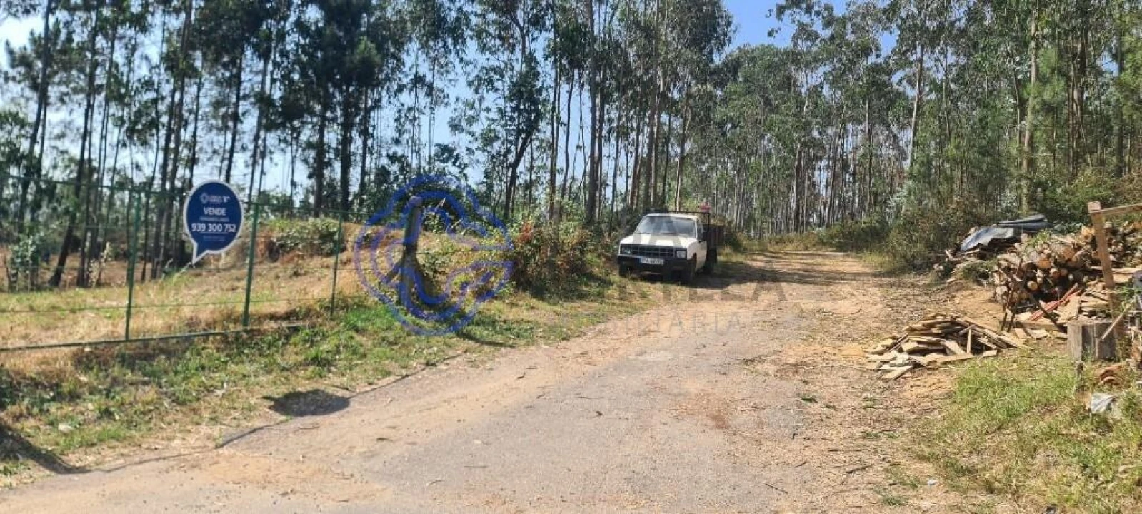 Terreno para Venda em Caldas de São Jorge e Pigeiros Foto 20
