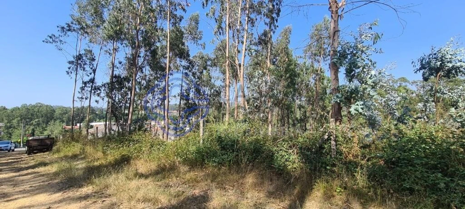 Terreno para Venda em Caldas de São Jorge e Pigeiros Foto 11