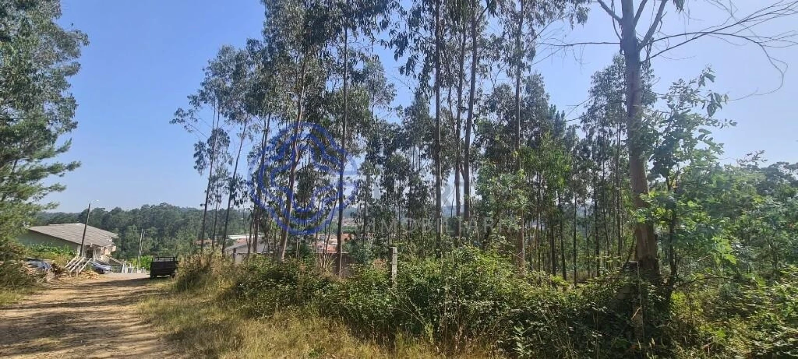 Terreno para Venda em Caldas de São Jorge e Pigeiros Foto 25