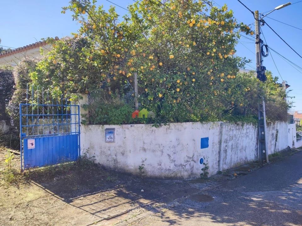 Moradia T3 para Venda em Carregueira Foto 2