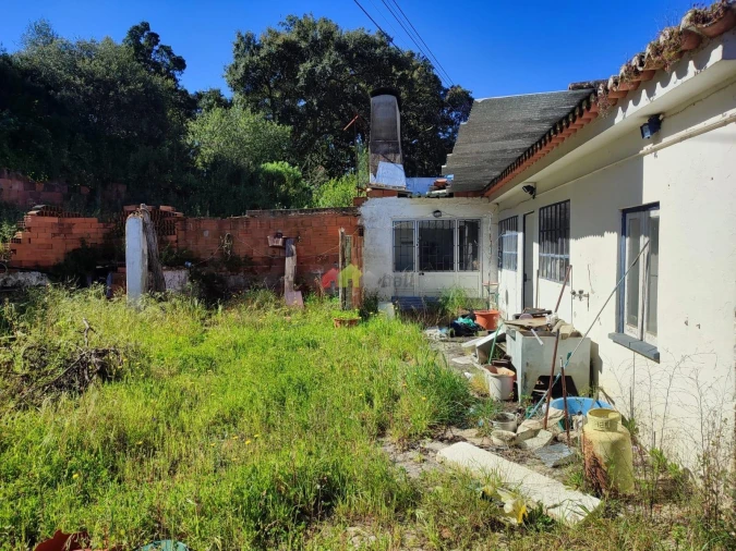 Moradia T3 para Venda em Carregueira Foto 4