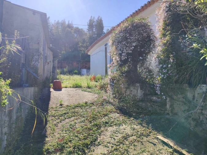 Moradia T3 para Venda em Carregueira Foto 7