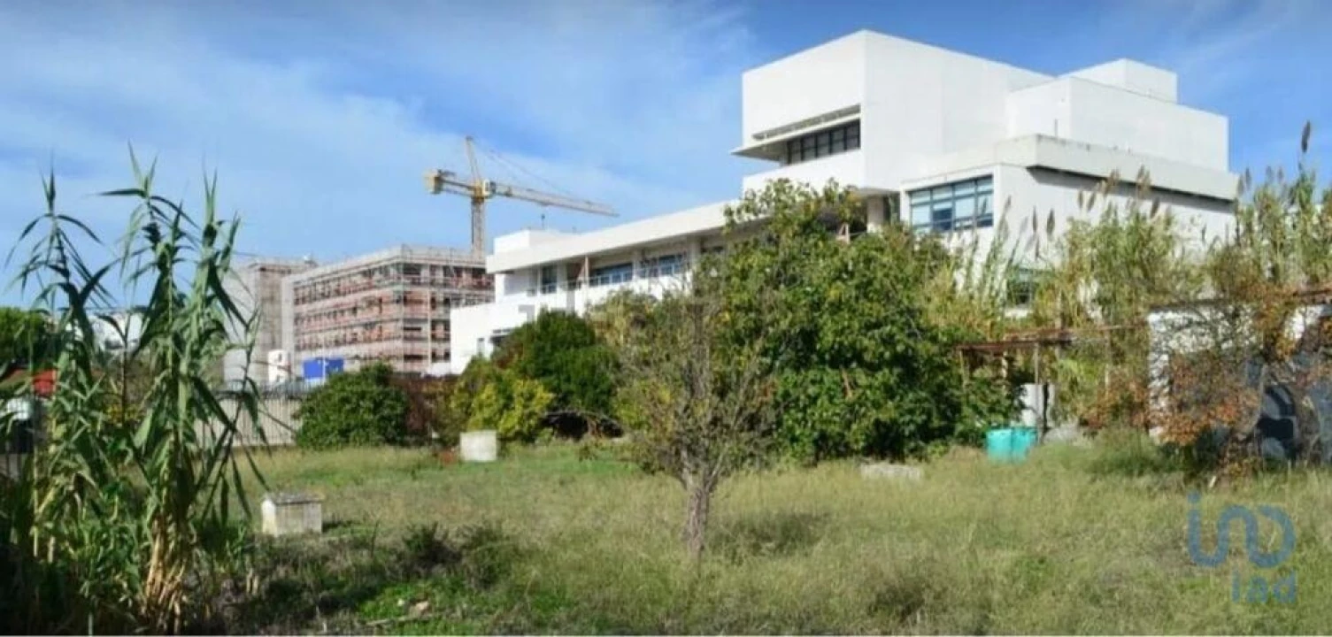 Terreno para Venda em Ajuda Foto 10