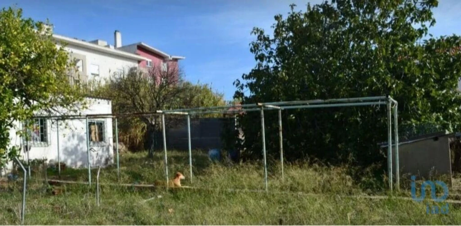 Terreno para Venda em Ajuda Foto 7
