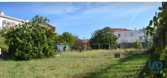 Terreno para Venda em Ajuda
