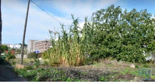 Terreno para Venda em Ajuda