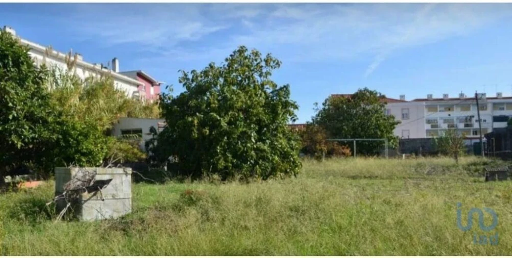 Terreno para Venda em Ajuda Foto 2