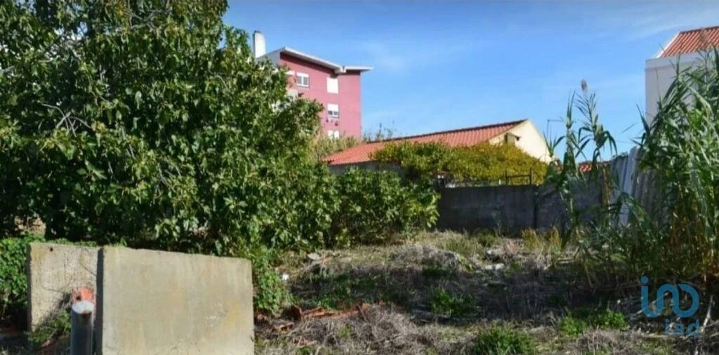 Terreno para Venda em Ajuda Foto 9