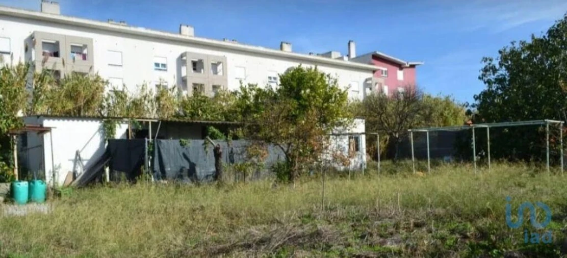 Terreno para Venda em Ajuda Foto 4