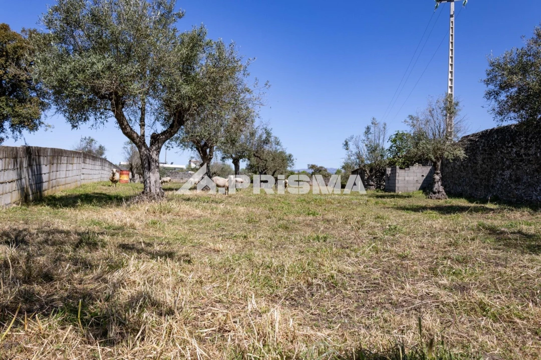 Terreno para Venda em Alcains Foto 4