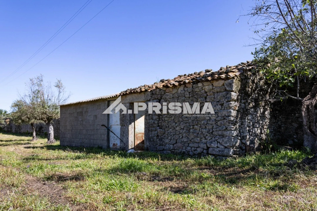 Terreno para Venda em Alcains Foto 8