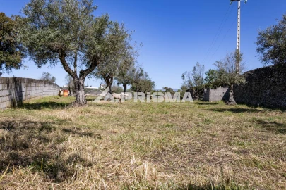 Terreno para Venda em Alcains