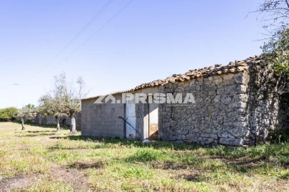 Terreno para Venda em Alcains