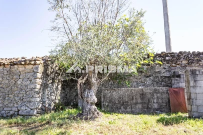 Terreno para Venda em Alcains