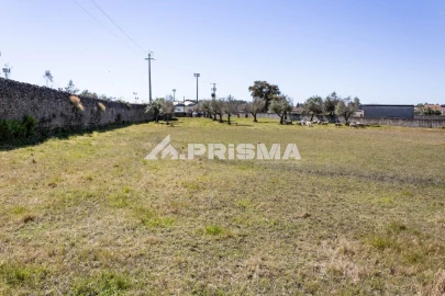 Terreno para Venda em Alcains